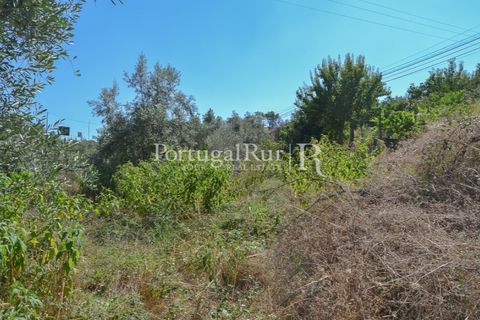Landejendom i Proenca-a-Nova, Castelo Branco, Proenca-a-Nova - € 31.500 | Ref: SA386 - foto 9