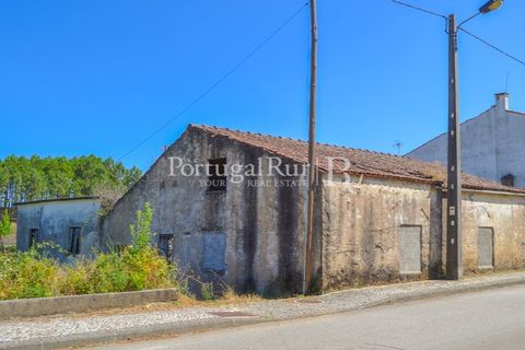 Landejendom i Proenca-a-Nova, Castelo Branco, Proenca-a-Nova - € 31.500 | Ref: SA386 - foto 10