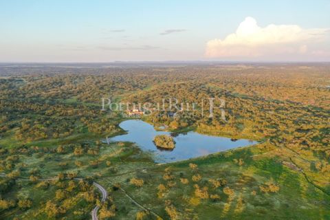 Landejendom i Arraiolos, Evora, Arraiolos - € 4.900.000 | Ref: TG3269 - foto 3
