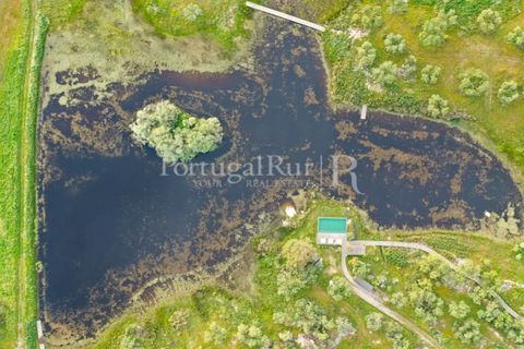 Landejendom i Arraiolos, Evora, Arraiolos - € 4.900.000 | Ref: TG3269 - foto 6