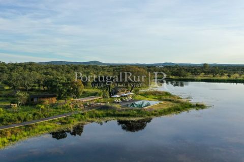 Landejendom i Arraiolos, Evora, Arraiolos - € 4.900.000 | Ref: TG3269 - foto 8
