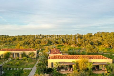 Landejendom i Arraiolos, Evora, Arraiolos - € 4.900.000 | Ref: TG3269 - foto 12