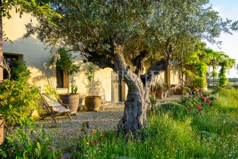 Landejendom i Arraiolos, Evora, Arraiolos - € 4.900.000 | Ref: TG3269 - foto 14