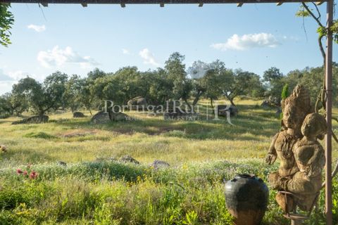 Landejendom i Arraiolos, Evora, Arraiolos - € 4.900.000 | Ref: TG3269 - foto 34