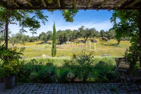 Landejendom i Arraiolos, Evora, Arraiolos - € 4.900.000 | Ref: TG3269 - foto 37
