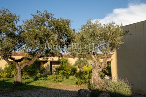 Landejendom i Arraiolos, Evora, Arraiolos - € 4.900.000 | Ref: TG3269 - foto 43