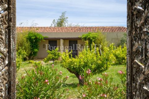 Landejendom i Arraiolos, Evora, Arraiolos - € 4.900.000 | Ref: TG3269 - foto 46