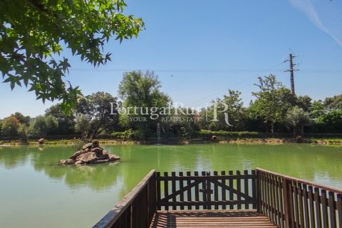 Granja a Abrantes, Santarem, Abrantes - € 2.660.000 | Ref: ML134 - foto 2