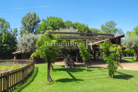 Granja a Abrantes, Santarem, Abrantes - € 2.660.000 | Ref: ML134 - foto 4