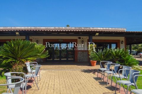 Granja a Abrantes, Santarem, Abrantes - € 2.660.000 | Ref: ML134 - foto 6
