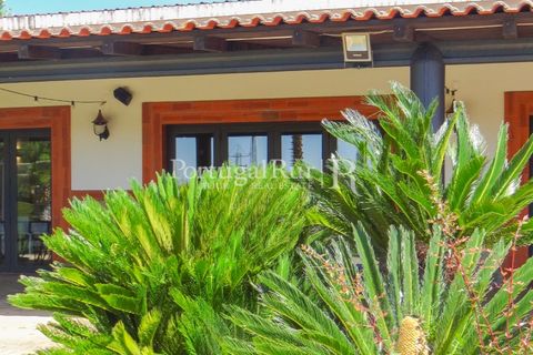 Granja a Abrantes, Santarem, Abrantes - € 2.660.000 | Ref: ML134 - foto 7