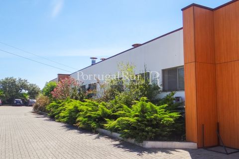 Granja a Abrantes, Santarem, Abrantes - € 2.660.000 | Ref: ML134 - foto 12