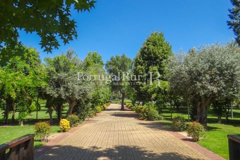 Granja a Abrantes, Santarem, Abrantes - € 2.660.000 | Ref: ML134 - foto 17