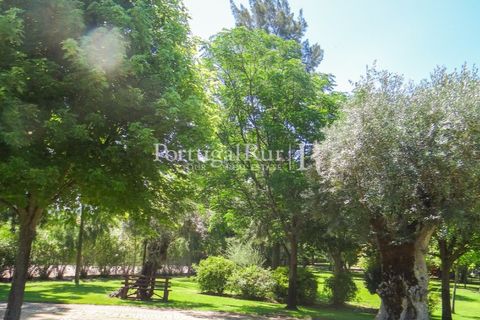 Granja a Abrantes, Santarem, Abrantes - € 2.660.000 | Ref: ML134 - foto 37