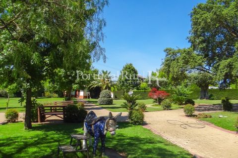 Granja a Abrantes, Santarem, Abrantes - € 2.660.000 | Ref: ML134 - foto 38