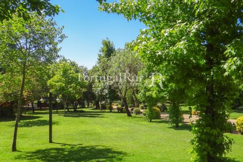 Granja a Abrantes, Santarem, Abrantes - € 2.660.000 | Ref: ML134 - foto 39