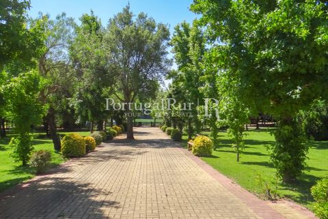 Granja a Abrantes, Santarem, Abrantes - € 2.660.000 | Ref: ML134 - foto 40
