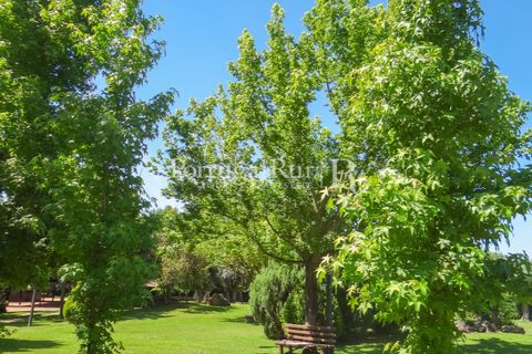 Granja a Abrantes, Santarem, Abrantes - € 2.660.000 | Ref: ML134 - foto 41