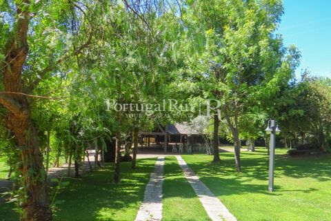 Granja a Abrantes, Santarem, Abrantes - € 2.660.000 | Ref: ML134 - foto 43