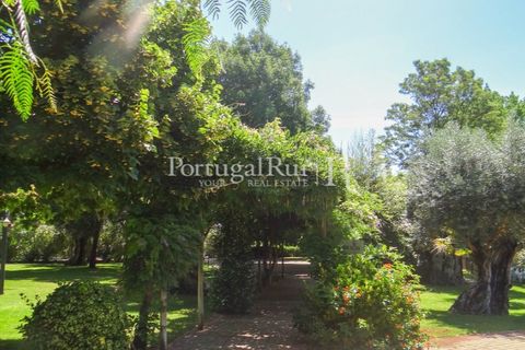 Granja a Abrantes, Santarem, Abrantes - € 2.660.000 | Ref: ML134 - foto 44
