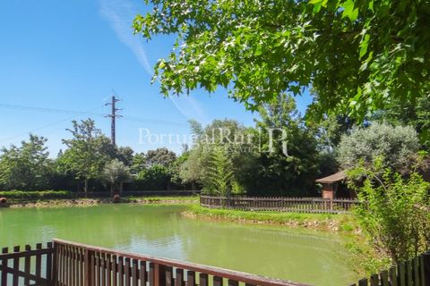 Granja a Abrantes, Santarem, Abrantes - € 2.660.000 | Ref: ML134 - foto 46