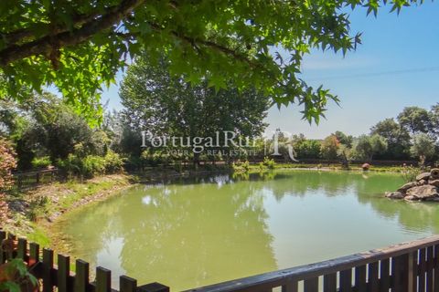 Granja a Abrantes, Santarem, Abrantes - € 2.660.000 | Ref: ML134 - foto 47