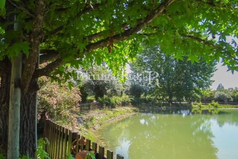 Granja a Abrantes, Santarem, Abrantes - € 2.660.000 | Ref: ML134 - foto 48