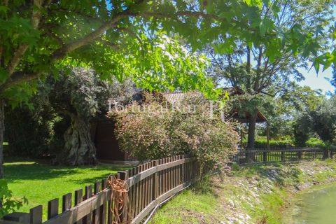 Granja a Abrantes, Santarem, Abrantes - € 2.660.000 | Ref: ML134 - foto 49