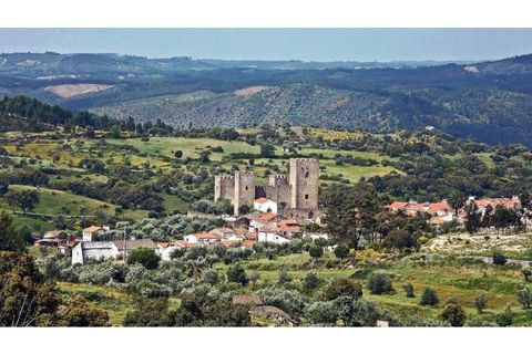 Landejendom i Arez e Amieira do Tejo, Portalegre, Arez e Amieira do Tejo - € 30.000 | Ref: FG964 - foto 2