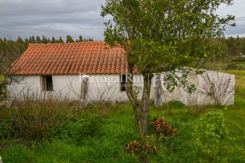 Farm i Coruche, Santarem, Coruche - € 365.000 | Ref: ZR87 - foto 14