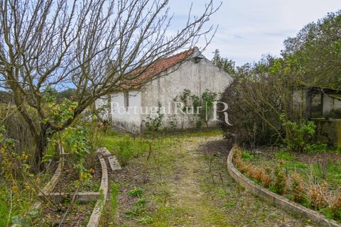 Farm i Coruche, Santarem, Coruche - € 365.000 | Ref: ZR87 - foto 15