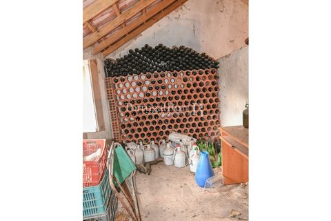 Farm i Coruche, Santarem, Coruche - € 365.000 | Ref: ZR87 - foto 17