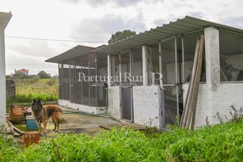 Farm i Coruche, Santarem, Coruche - € 365.000 | Ref: ZR87 - foto 19