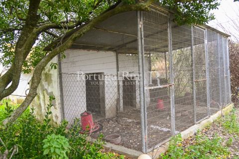 Farm i Coruche, Santarem, Coruche - € 365.000 | Ref: ZR87 - foto 18