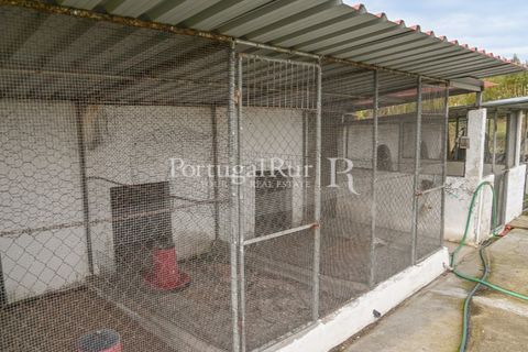 Farm i Coruche, Santarem, Coruche - € 365.000 | Ref: ZR87 - foto 20