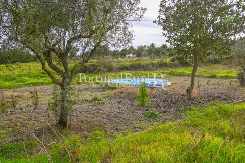 Farm i Coruche, Santarem, Coruche - € 365.000 | Ref: ZR87 - foto 21