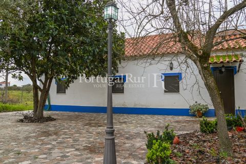 Farm i Coruche, Santarem, Coruche - € 365.000 | Ref: ZR87 - foto 23