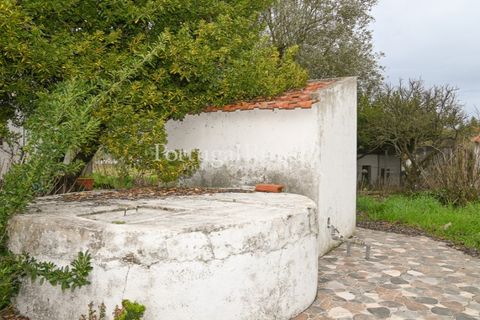 Farm i Coruche, Santarem, Coruche - € 365.000 | Ref: ZR87 - foto 22
