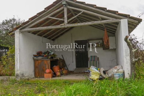 Farm i Coruche, Santarem, Coruche - € 365.000 | Ref: ZR87 - foto 24