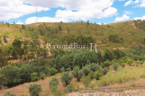 Landejendom i Silves, Faro, Silves - € 1.200.000 | Ref: JF48 - foto 2