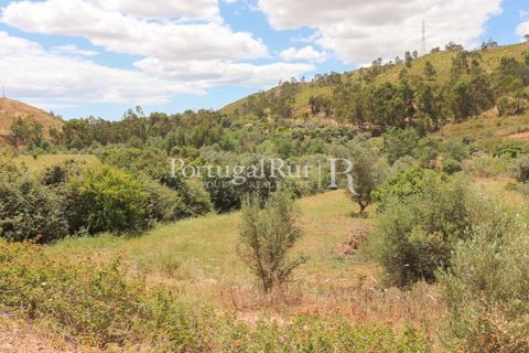 Landejendom i Silves, Faro, Silves - € 1.200.000 | Ref: JF48 - foto 3