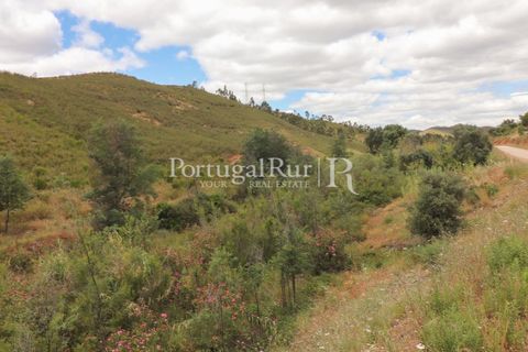 Landejendom i Silves, Faro, Silves - € 1.200.000 | Ref: JF48 - foto 4
