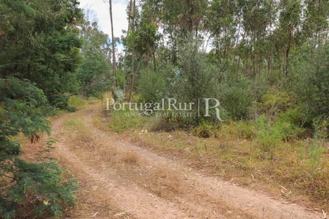 Landejendom i Silves, Faro, Silves - € 1.200.000 | Ref: JF48 - foto 5