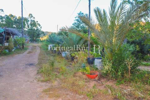 Landejendom i Silves, Faro, Silves - € 1.200.000 | Ref: JF48 - foto 6