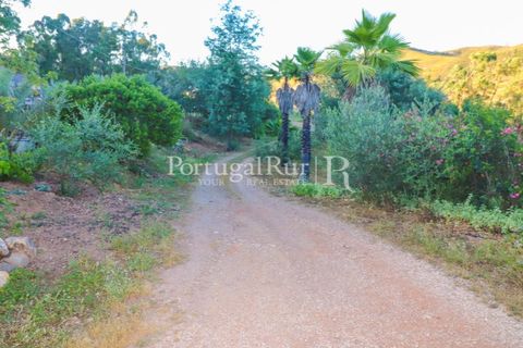 Landejendom i Silves, Faro, Silves - € 1.200.000 | Ref: JF48 - foto 7