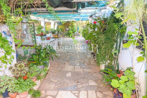 Landejendom i Silves, Faro, Silves - € 1.200.000 | Ref: JF48 - foto 9