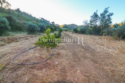 Landejendom i Silves, Faro, Silves - € 1.200.000 | Ref: JF48 - foto 17