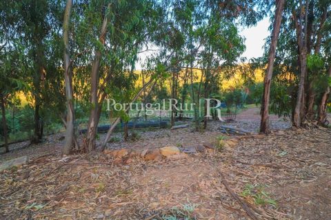 Landejendom i Silves, Faro, Silves - € 1.200.000 | Ref: JF48 - foto 19