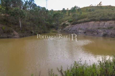 Landejendom i Silves, Faro, Silves - € 1.200.000 | Ref: JF48 - foto 20