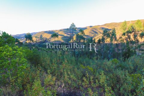 Landejendom i Silves, Faro, Silves - € 1.200.000 | Ref: JF48 - foto 23